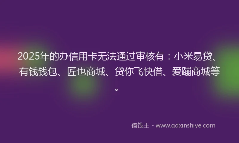 2025年的办信用卡无法通过审核有：小米易贷、有钱钱包、匠也商城、贷你飞快借、爱蹦商城等。