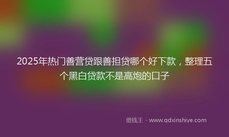 2025年热门善营贷跟善担贷哪个好下款，整理五个黑白贷款不是高炮的口子
