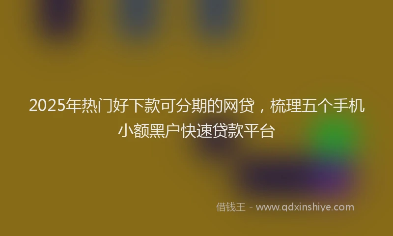 2025年热门好下款可分期的网贷，梳理五个手机小额黑户快速贷款平台