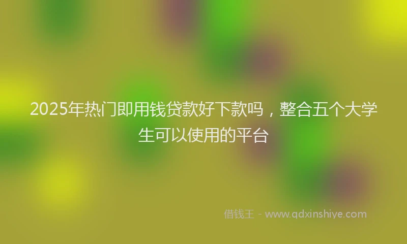 2025年热门即用钱贷款好下款吗，整合五个大学生可以使用的平台