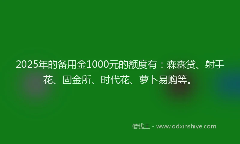 2025年的备用金1000元的额度有：森森贷、射手花、固金所、时代花、萝卜易购等。