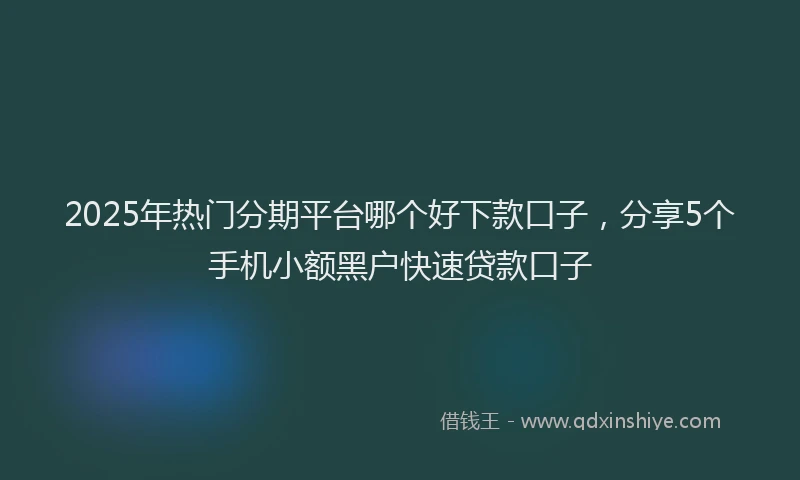 2025年热门分期平台哪个好下款口子，分享5个手机小额黑户快速贷款口子