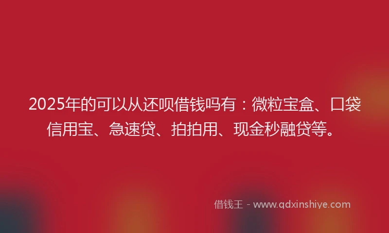 2025年的可以从还呗借钱吗有：微粒宝盒、口袋信用宝、急速贷、拍拍用、现金秒融贷等。
