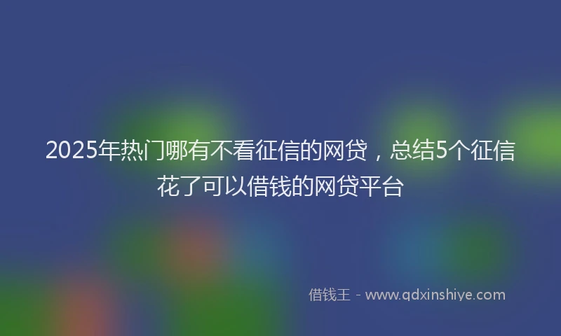 2025年热门哪有不看征信的网贷，总结5个征信花了可以借钱的网贷平台