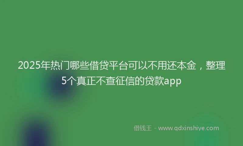 2025年热门哪些借贷平台可以不用还本金，整理5个真正不查征信的贷款app