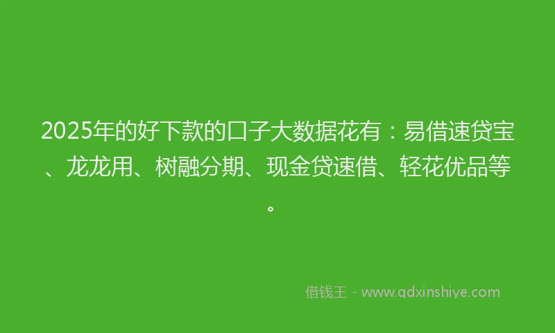 2025年的好下款的口子大数据花有：易借速贷宝、龙龙用、树融分期、现金贷速借、轻花优品等。