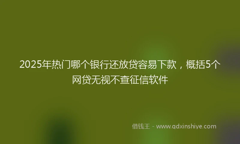2025年热门哪个银行还放贷容易下款，概括5个网贷无视不查征信软件