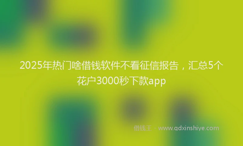 2025年热门啥借钱软件不看征信报告，汇总5个花户3000秒下款app