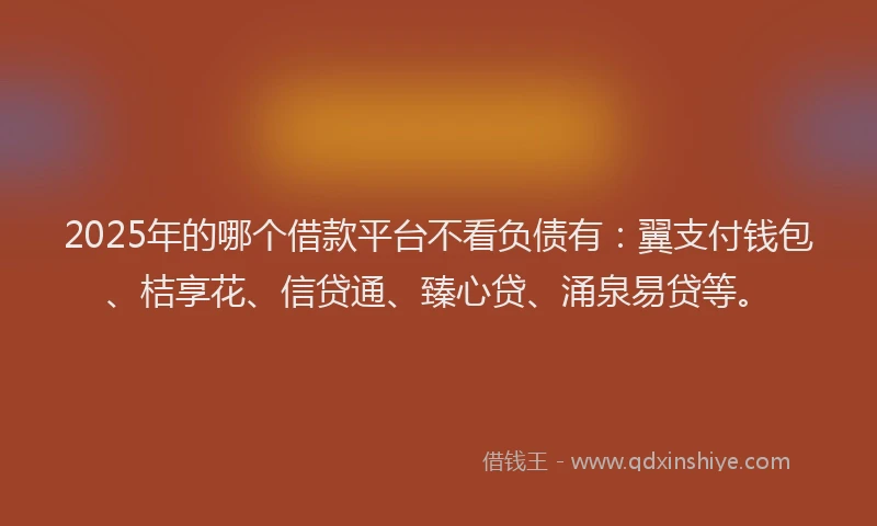 2025年的哪个借款平台不看负债有：翼支付钱包、桔享花、信贷通、臻心贷、涌泉易贷等。