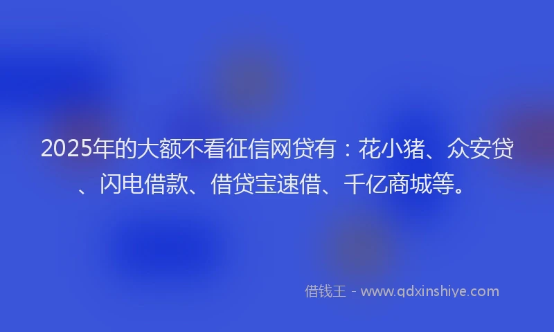 2025年的大额不看征信网贷有：花小猪、众安贷、闪电借款、借贷宝速借、千亿商城等。