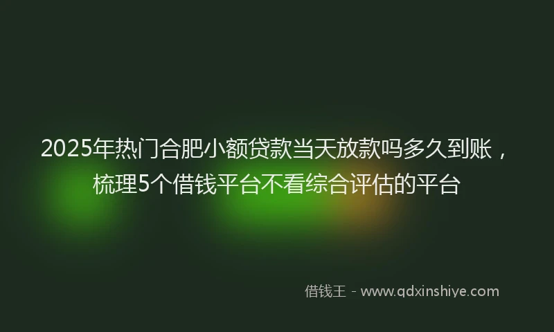 2025年热门合肥小额贷款当天放款吗多久到账，梳理5个借钱平台不看综合评估的平台