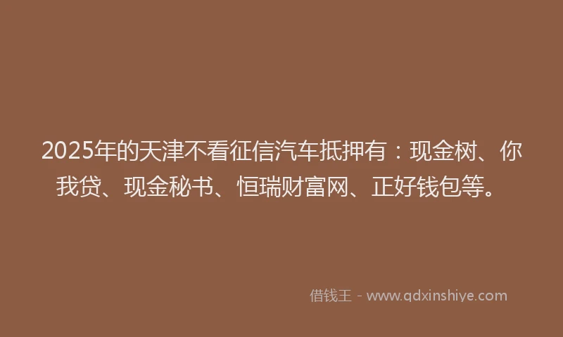 2025年的天津不看征信汽车抵押有：现金树、你我贷、现金秘书、恒瑞财富网、正好钱包等。