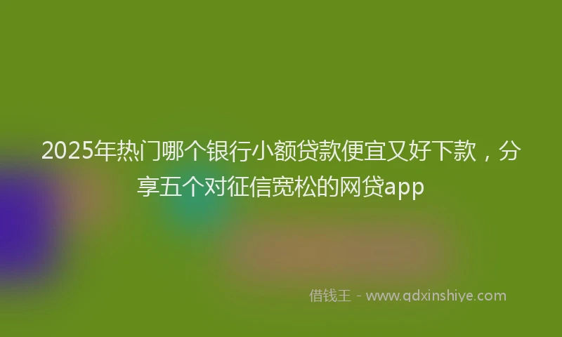 2025年热门哪个银行小额贷款便宜又好下款，分享五个对征信宽松的网贷app