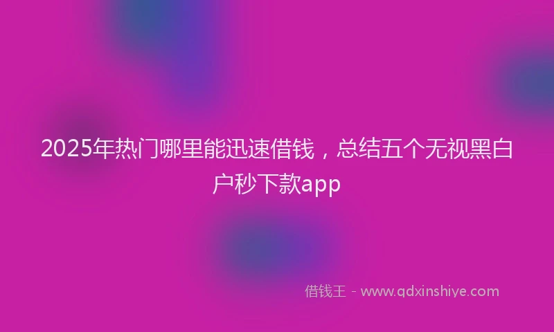 2025年热门哪里能迅速借钱，总结五个无视黑白户秒下款app