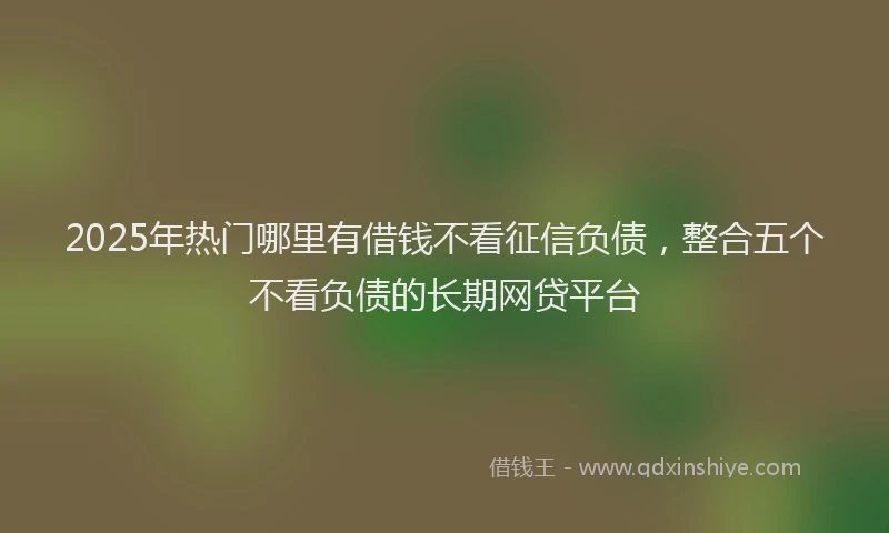 2025年热门哪里有借钱不看征信负债，整合五个不看负债的长期网贷平台