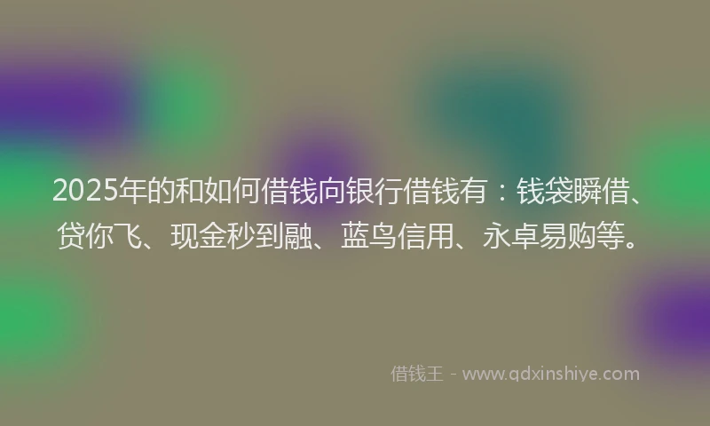 2025年的和如何借钱向银行借钱有：钱袋瞬借、贷你飞、现金秒到融、蓝鸟信用、永卓易购等。