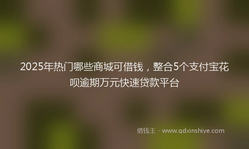 2025年热门哪些商城可借钱，整合5个支付宝花呗逾期万元快速贷款平台