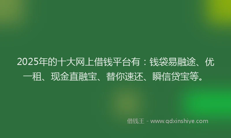 2025年的十大网上借钱平台有：钱袋易融途、优一租、现金直融宝、替你速还、瞬信贷宝等。