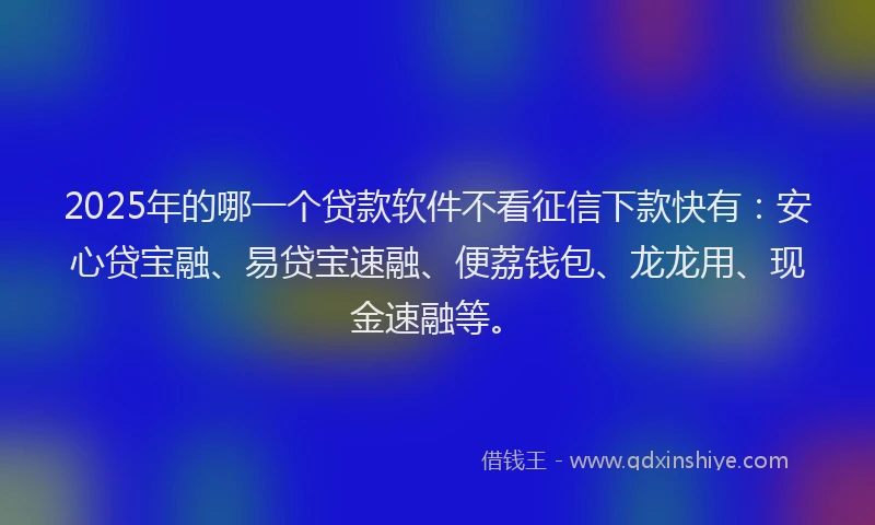 2025年的哪一个贷款软件不看征信下款快有：安心贷宝融、易贷宝速融、便荔钱包、龙龙用、现金速融等。