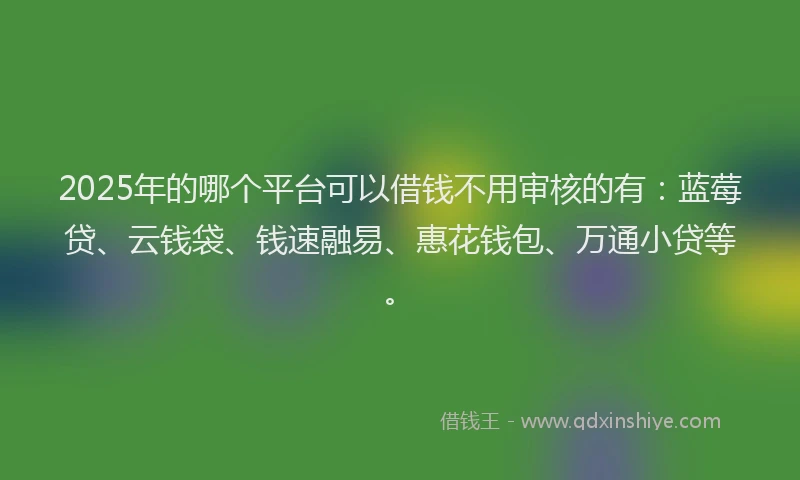 2025年的哪个平台可以借钱不用审核的有：蓝莓贷、云钱袋、钱速融易、惠花钱包、万通小贷等。