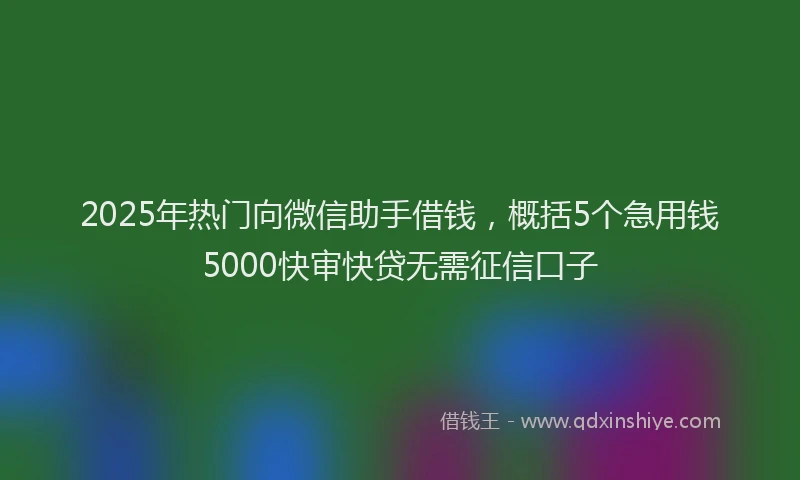 2025年热门向微信助手借钱，概括5个急用钱5000快审快贷无需征信口子