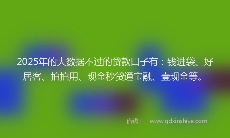 2025年的大数据不过的贷款口子有：钱进袋、好居客、拍拍用、现金秒贷通宝融、壹现金等。