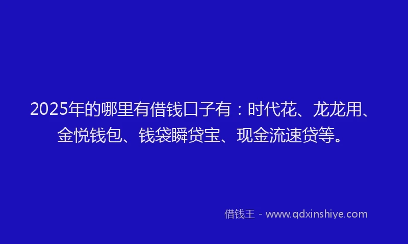 2025年的哪里有借钱口子有：时代花、龙龙用、金悦钱包、钱袋瞬贷宝、现金流速贷等。
