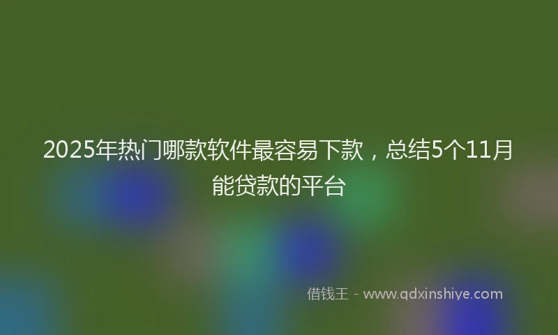 2025年热门哪款软件最容易下款，总结5个11月能贷款的平台