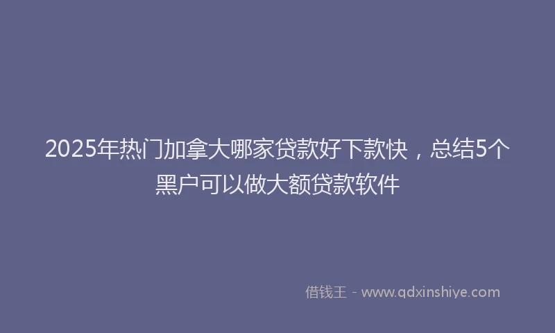 2025年热门加拿大哪家贷款好下款快，总结5个黑户可以做大额贷款软件
