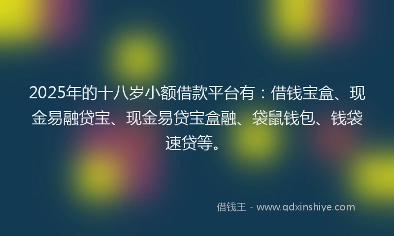 2025年的十八岁小额借款平台有：借钱宝盒、现金易融贷宝、现金易贷宝盒融、袋鼠钱包、钱袋速贷等。