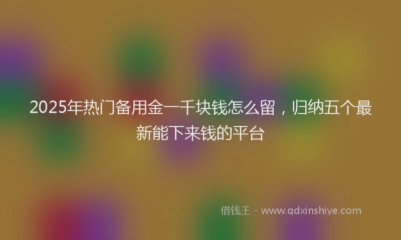 2025年热门备用金一千块钱怎么留，归纳五个最新能下来钱的平台