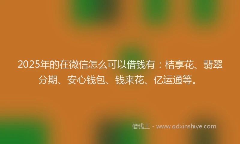 2025年的在微信怎么可以借钱有：桔享花、翡翠分期、安心钱包、钱来花、亿运通等。