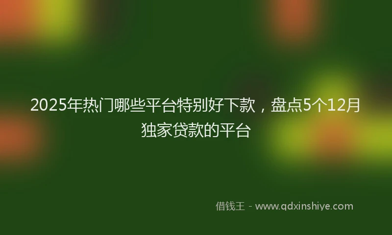 2025年热门哪些平台特别好下款，盘点5个12月独家贷款的平台