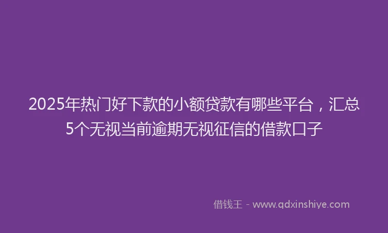 2025年热门好下款的小额贷款有哪些平台，汇总5个无视当前逾期无视征信的借款口子