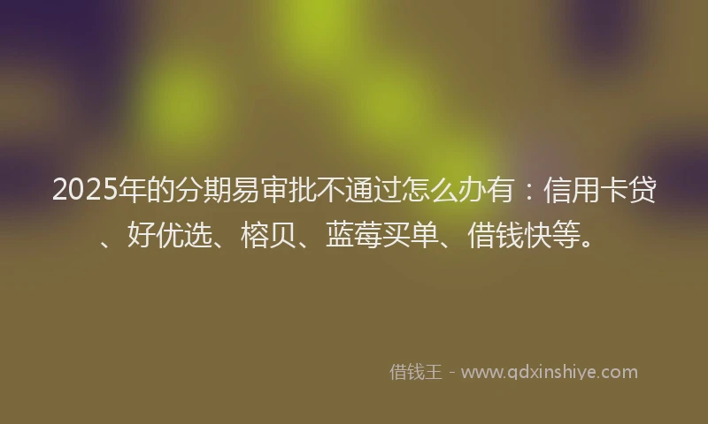 2025年的分期易审批不通过怎么办有：信用卡贷、好优选、榕贝、蓝莓买单、借钱快等。