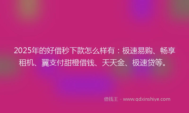 2025年的好借秒下款怎么样有：极速易购、畅享租机、翼支付甜橙借钱、天天金、极速贷等。