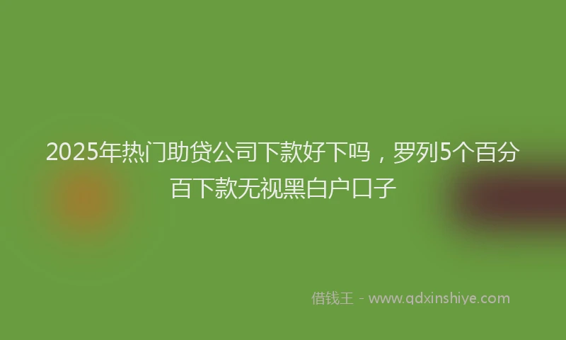 2025年热门助贷公司下款好下吗，罗列5个百分百下款无视黑白户口子
