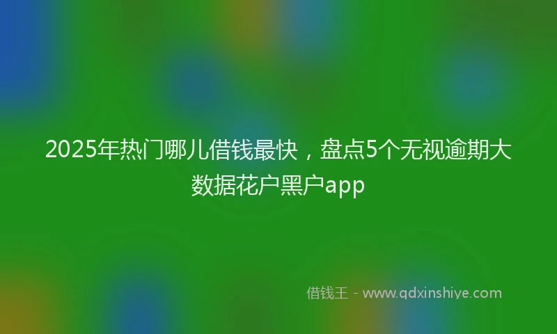 2025年热门哪儿借钱最快，盘点5个无视逾期大数据花户黑户app