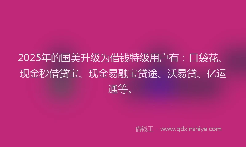 2025年的国美升级为借钱特级用户有：口袋花、现金秒借贷宝、现金易融宝贷途、沃易贷、亿运通等。