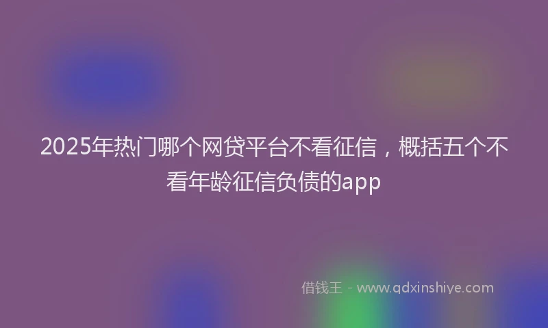 2025年热门哪个网贷平台不看征信，概括五个不看年龄征信负债的app