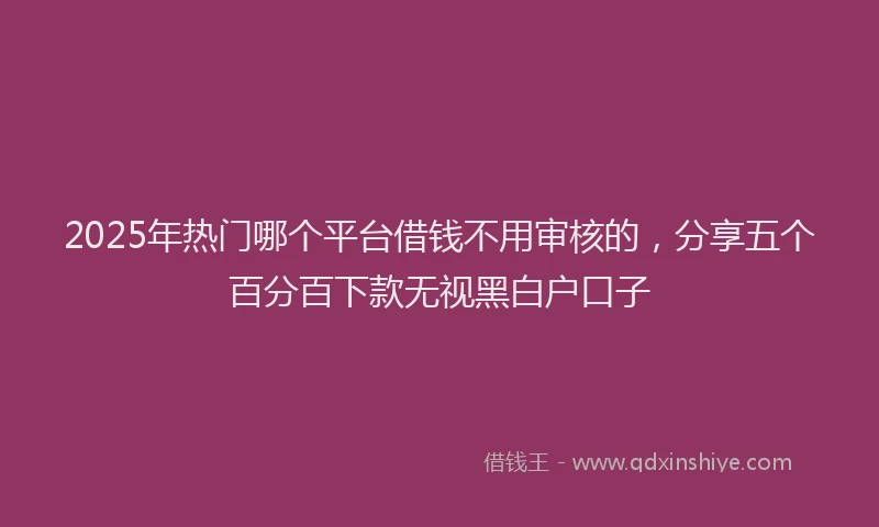 2025年热门哪个平台借钱不用审核的，分享五个百分百下款无视黑白户口子