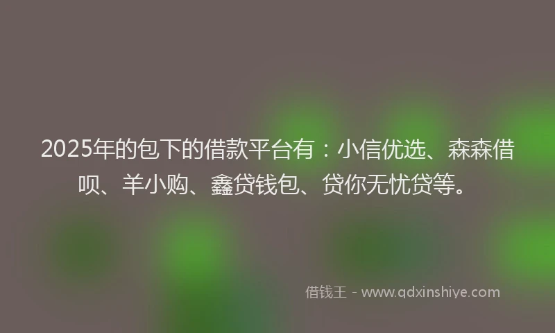 2025年的包下的借款平台有：小信优选、森森借呗、羊小购、鑫贷钱包、贷你无忧贷等。