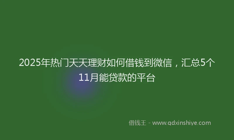 2025年热门天天理财如何借钱到微信，汇总5个11月能贷款的平台
