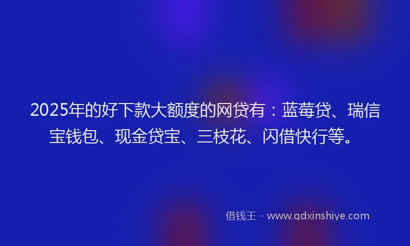 2025年的好下款大额度的网贷有：蓝莓贷、瑞信宝钱包、现金贷宝、三枝花、闪借快行等。