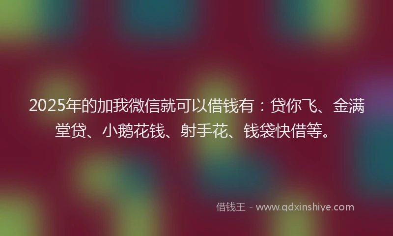 2025年的加我微信就可以借钱有：贷你飞、金满堂贷、小鹅花钱、射手花、钱袋快借等。