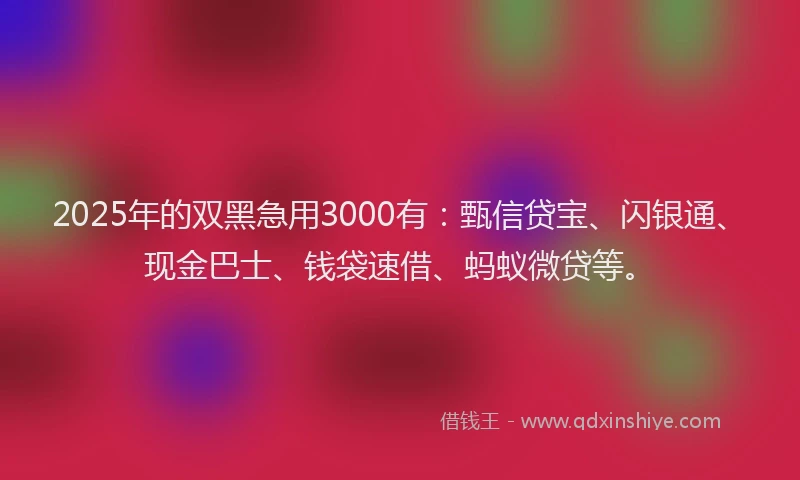 2025年的双黑急用3000有：甄信贷宝、闪银通、现金巴士、钱袋速借、蚂蚁微贷等。