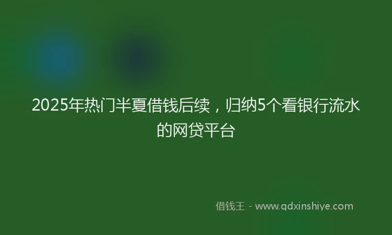 2025年热门半夏借钱后续，归纳5个看银行流水的网贷平台