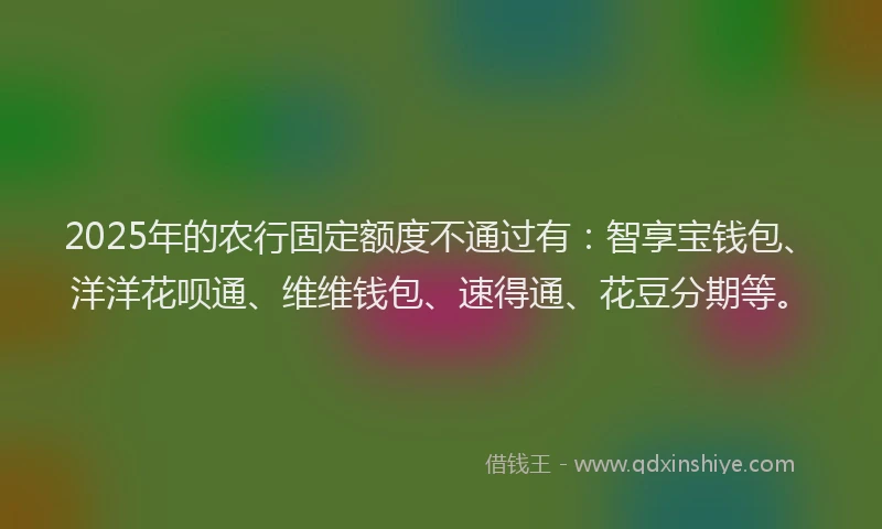 2025年的农行固定额度不通过有：智享宝钱包、洋洋花呗通、维维钱包、速得通、花豆分期等。