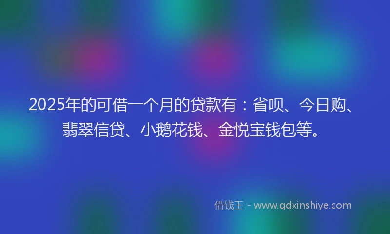 2025年的可借一个月的贷款有：省呗、今日购、翡翠信贷、小鹅花钱、金悦宝钱包等。