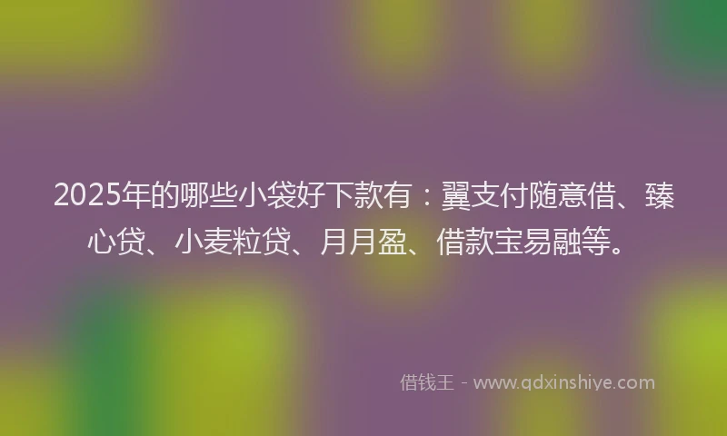 2025年的哪些小袋好下款有：翼支付随意借、臻心贷、小麦粒贷、月月盈、借款宝易融等。